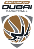 Dubai Basketball