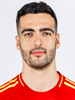 Mikel Merino
