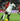 Antonio Rüdiger