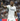 David Alaba